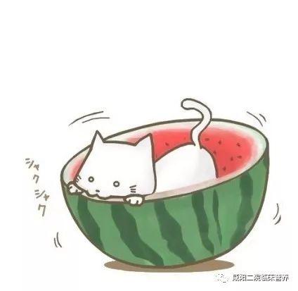 吃瓜群众图片卡通