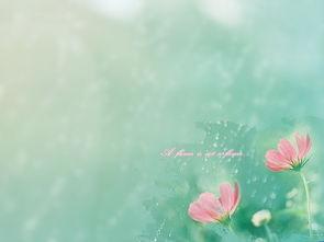 花非花的背景,穿越时空的奇幻之旅